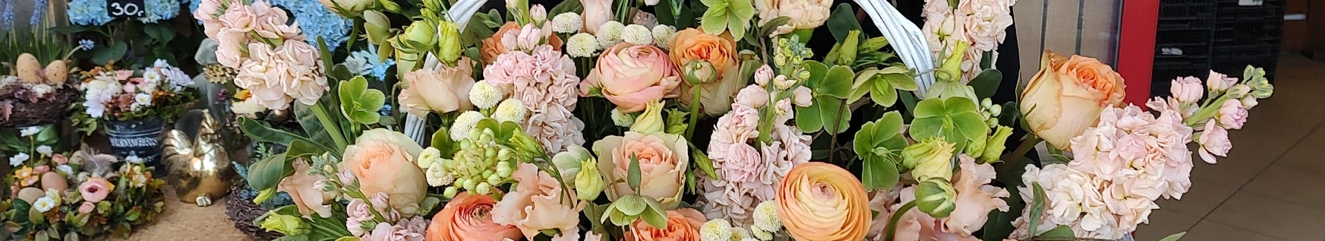 kwiaty w różnych kolorach